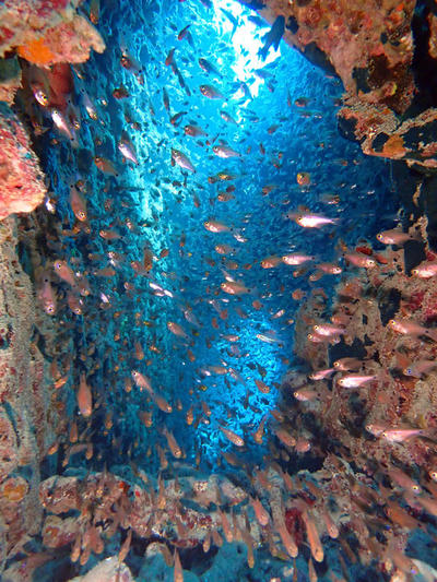 PA110559.jpg