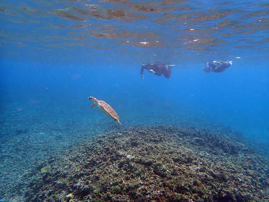 PA110668.jpg
