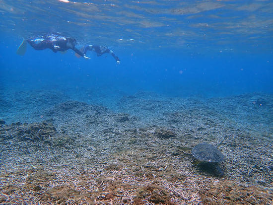 PA110744.jpg
