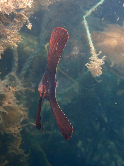 PA110936.jpg
